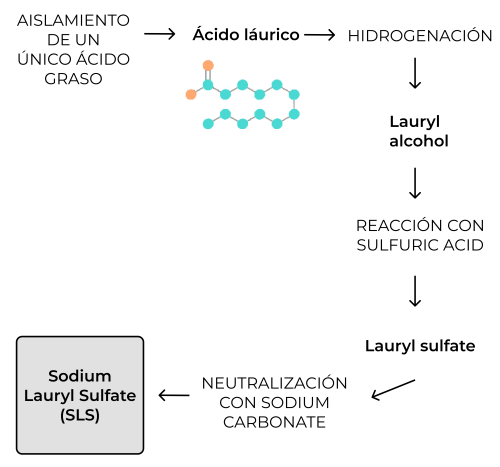SLS y Sodium Coco Sulfate